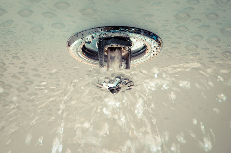 fire sprinkler systems and automatic fire alarm systems