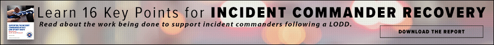 Download the IC to IC Report